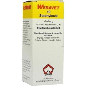 Staphylosal 10 Tropfen vet. 50 ml Biokanol Pharma Natürliche und homöopathische Produkte